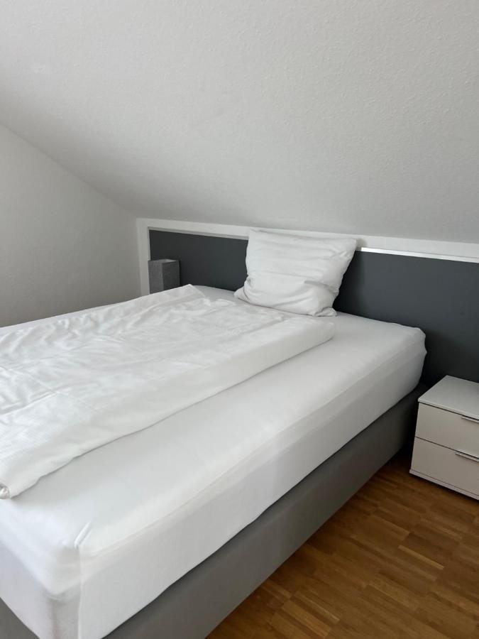 New Age Boardinghaus Bad Wimpfen Aparthotel Ngoại thất bức ảnh