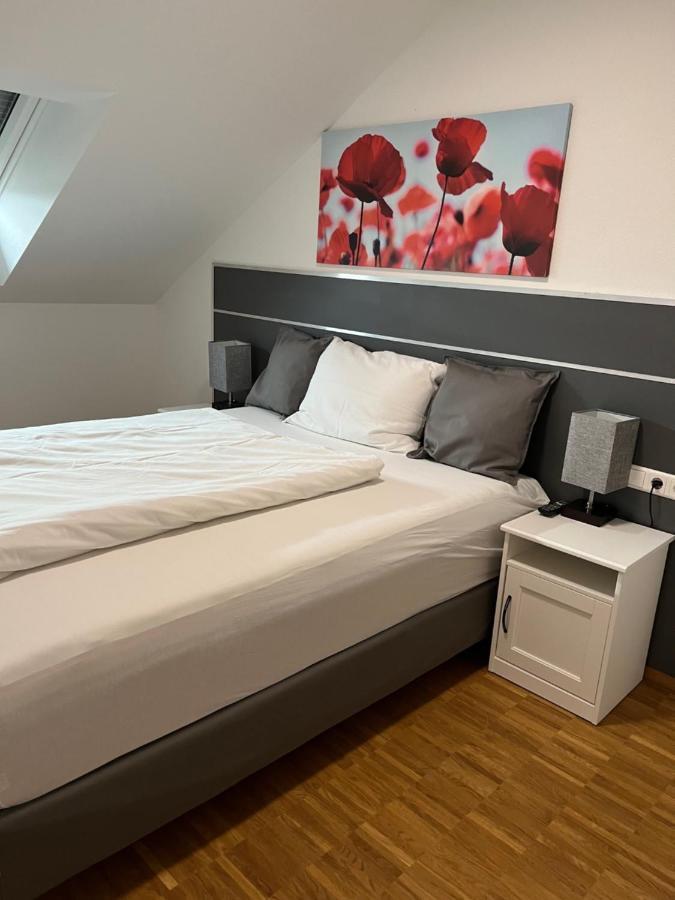 New Age Boardinghaus Bad Wimpfen Aparthotel Ngoại thất bức ảnh